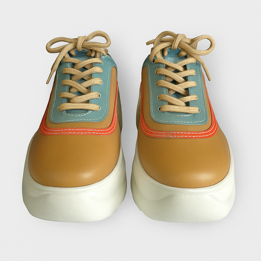 Champion Rain
